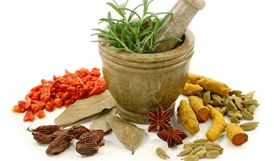 Methods of treatment of parasites in the body